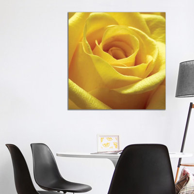 Yellow Rose by PhotoINC Studio - Wrapped Canvas Gallery-Wrapped Canvas Giclée