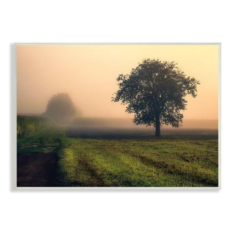 Brume matinale, lever du soleil, campagne, arbre, champ, H 10 po x l 15 po, Plaque murale