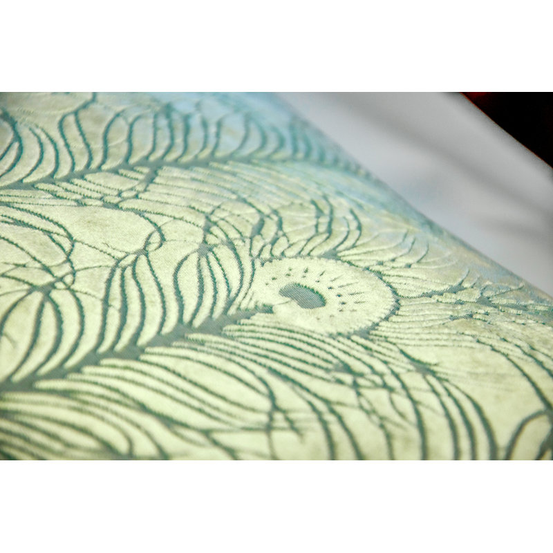 Peacock Feather Square Velvet Pillow Cover & Insert, Square 22", Ice
