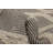 Botsford Wool Geometric Indoor Rug