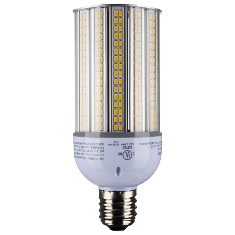 30 Watt Clear LED Bulb, 3000K