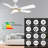52 Inch 5 Blades DC Motor Smart Ceiling Fan with Remote and Light Kit.-406541790-406541785