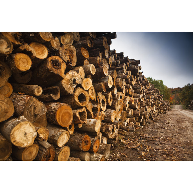 Piles Of Wood - Wrapped Canvas Print, 81cm H x 122cm W x 3.8cm D
