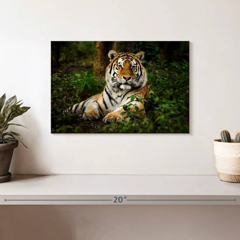 Brampt Mighty Tiger, 8" H x 12" W