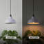 1 - Light Dome Pendant-1356561748-1356561775