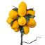 Topiaire en pot 24 po citron