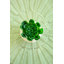 Ensemble de plantes grasses artificielles Gamache