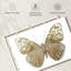 Papillon Brampt en taupe et bleu-108156580