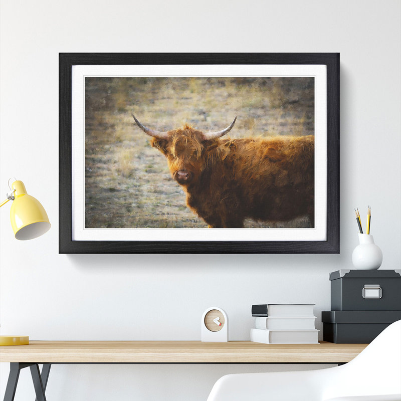 Highland Bull Cow Vol.2 - Framed Print, Black Framed, 36cm H x 48cm W x 2cm D