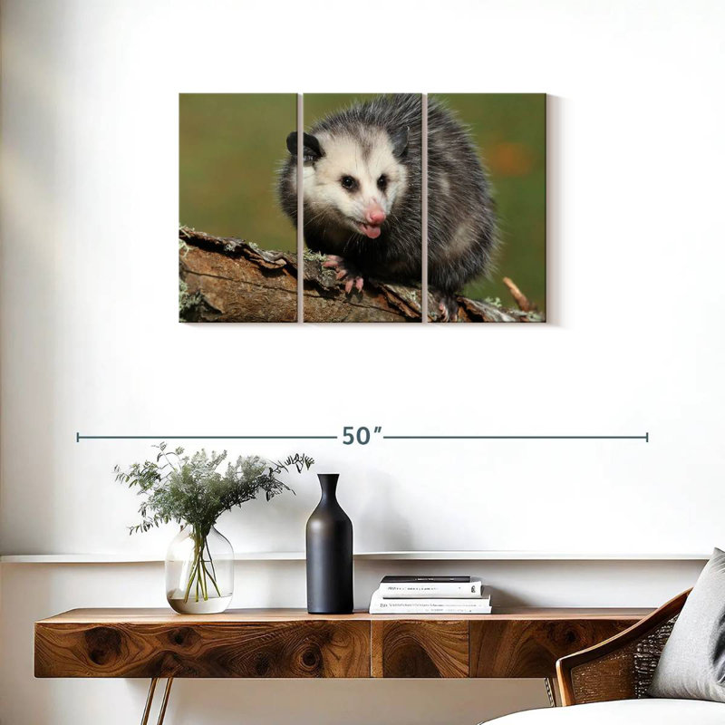 Bramble Angry Opossum, H 20 po x l 33 po