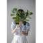 Collection Home Decor