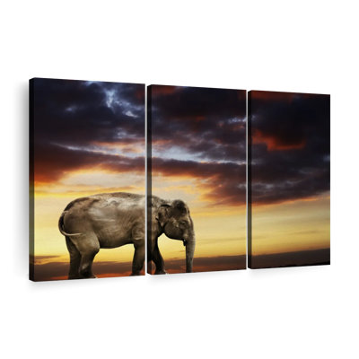" Elephant At Dusk " on