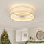Ventilateur de plafond 19,6 po Arachne avec ensemble d'éclairage et télécommande inclus (ensemble de 2) -116467665-116467666-117435473