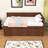 Wood Daybed with Pull-Out Drawers and Shelves-1014668553-1014668552