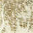 Square 3'