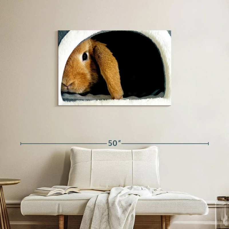Brampt Rabbit Home, 24" H x 36" W