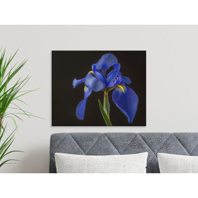 Schrock Wrapped Canvas Print Set