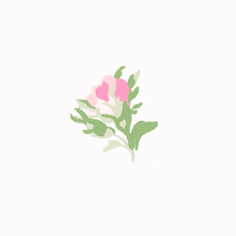 Margie Floral Wallpaper, Rose