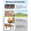 1 chaise berçante pliante Adirondack avec repose-pieds rétractable-129223547