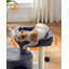 Tour pour chat Latitude Run® avec poteaux à griffer recouverts de sisal, gris fumé