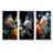 Corals Butterflyfish Aquamarine Adventure-143910845-143910834