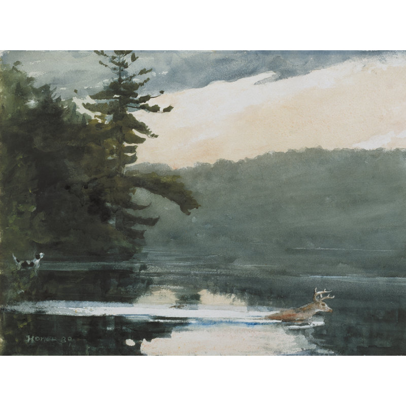 «Zeidler Deer In The Adirondack on Canvas» par Stellar Design Studio, reproduction, H 8 po x l 12 po