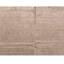 Area Rug in Beige