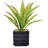 Bragdon Artificial Succulent Plant in Planter