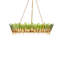 Selavy 11 - Light Chandelier