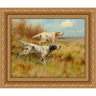 English setters on point