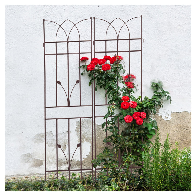 Ensemble de 2 treillis de jardin en métal antirouille 71 po pour plantes grimpantes - Support extérieur en fer brun et écran d'intimité