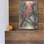 «Show-Off» par Barbara Keith-101615493