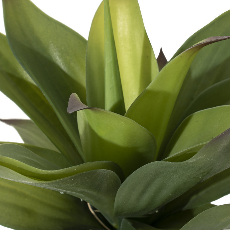 Ensemble de 16 plantes à agave artificielles dans un vase
