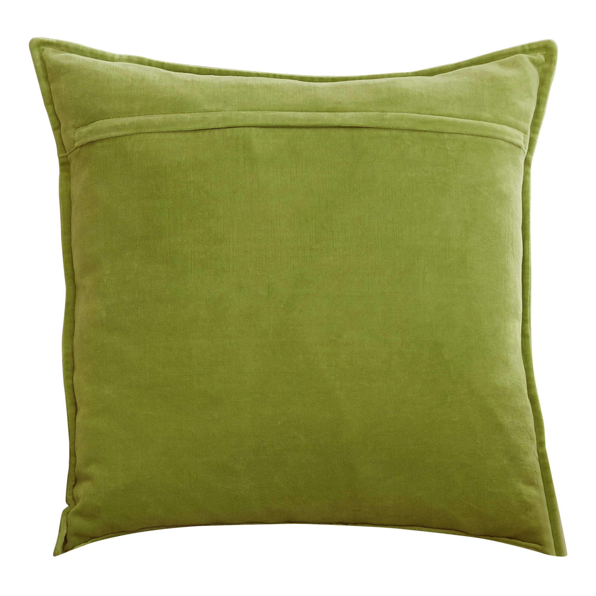 Edgar 100% Cotton Throw Pillow, 20"H x 20"W, Grass Green, Down