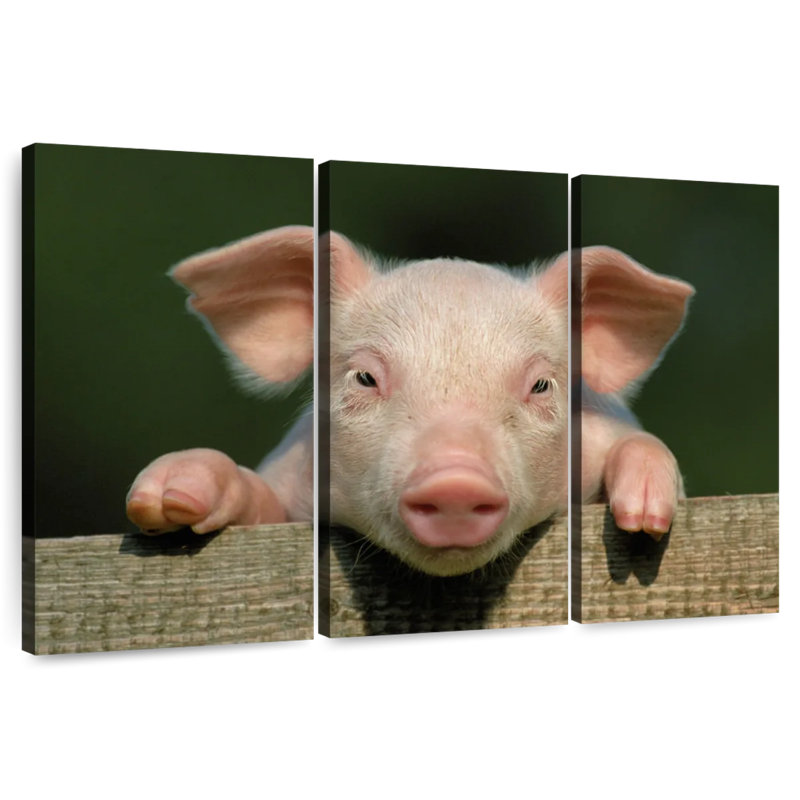 Brampt Piglet On Fence, 20" H x 33" W