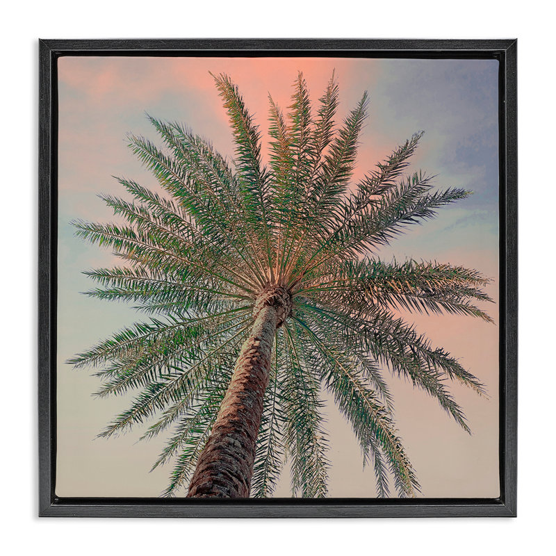 Cadre flottant Palm Up Against Sunset, design par Susan Jill, Cadre flottant noir de jais, H 18 po x l 18 po