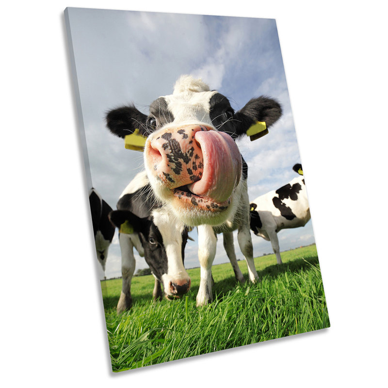 Cow Funky Tongue Face Farm Picture - Wrapped Canvas Print, 91.4cm H x 61cm W x 4cm D