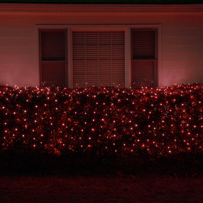150-Bulb Mini Net Lights with Glass Bulbs