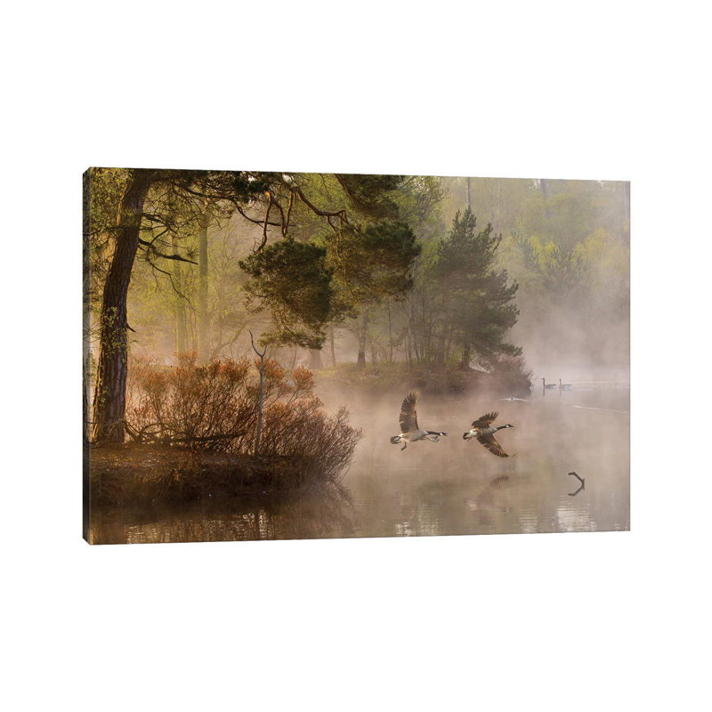 Goose Fight by Anton Van Dongen - Wrapped Canvas Print