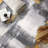 Demeko Abstract Machine Woven Polypropylene Performance Area Rug-66934722-66934720