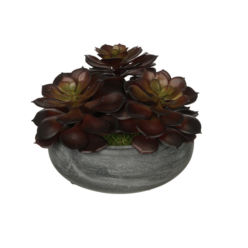 4.5 " H Faux Succulent Plant in Ceramic Vase