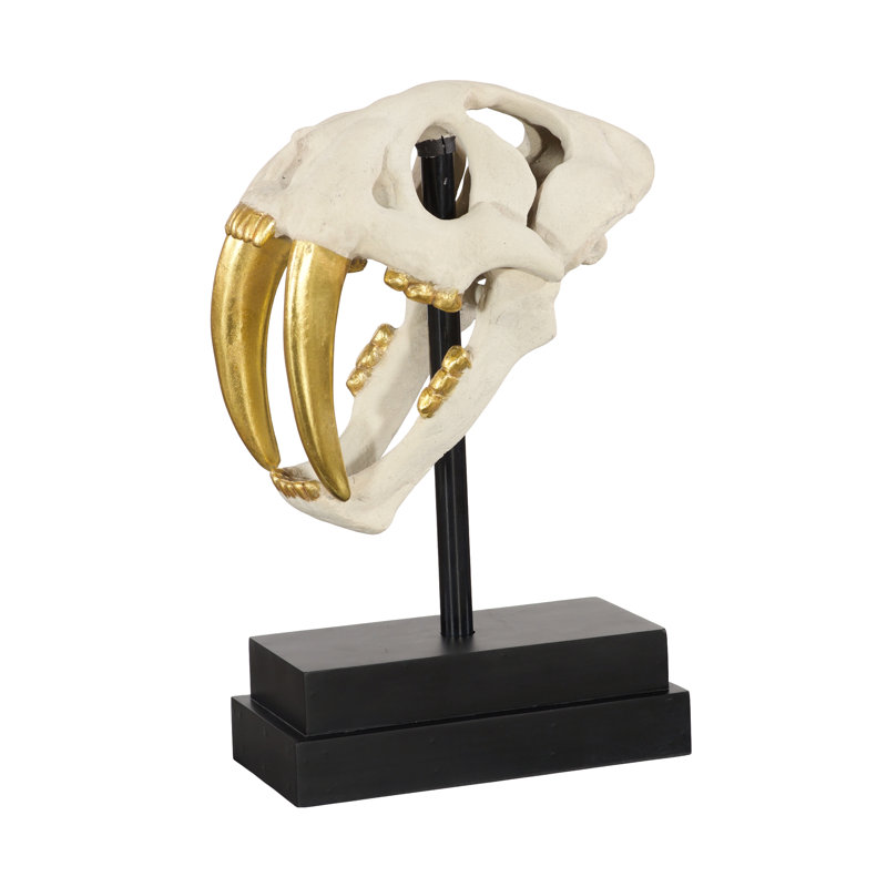 Tooth Tiger Skull, Beige