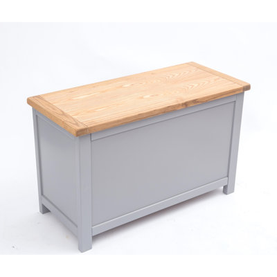 Millette 1 Piece Blanket Chest