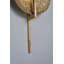 1 - Light LED Flush Mounted Sconce