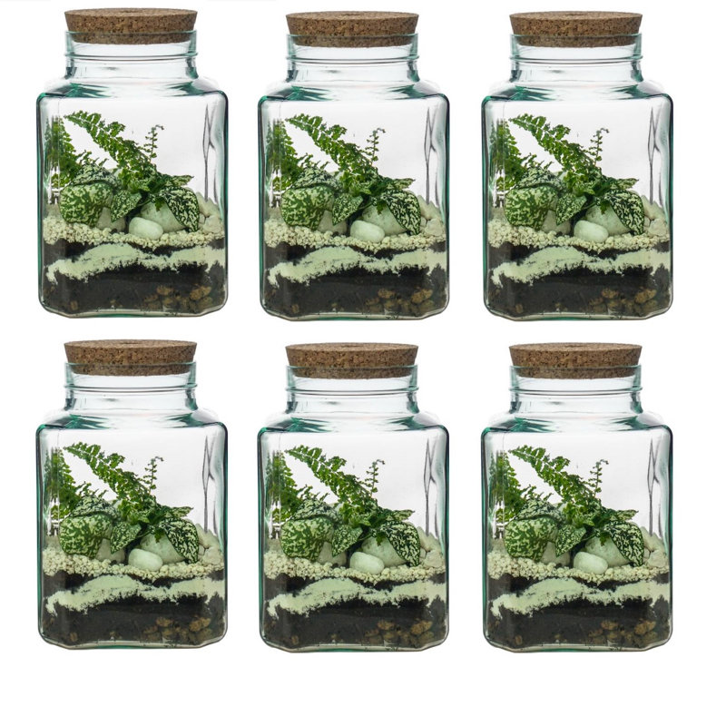 Ryegate Glass Decorative Urns & Jars