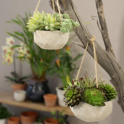 Boîte à fleurs suspendue avec poignée en corde et corde hexagonale short Sheron