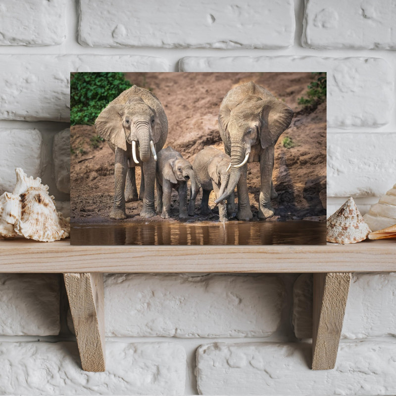 Elephant Family Drinking Contemporary Wall Art Print by Jeffrey C. Sink - 1 Piece Wrapped Canvas Wall Art