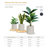 Kute Nest Indoor/Outdoor Contract Grade Large Conico Fiberstone Planter H15.3" x D15" (Taupe) - Pot Opening 11.7"-114407577-114407581