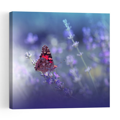 Delicate Lavender Butterfly Delicate Serene Tranquil Butterfly Lavender Violet Flower Nature Wall Art Print 1 Piece Wrapped Canvas Wall Art