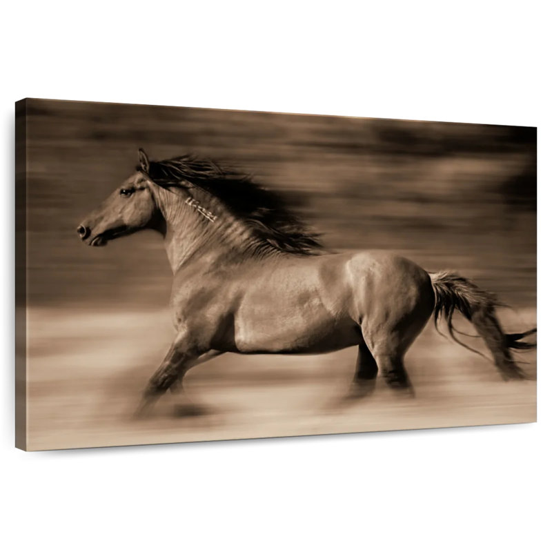 Tapis de couloir Brampt, H 32 po x l 48 po